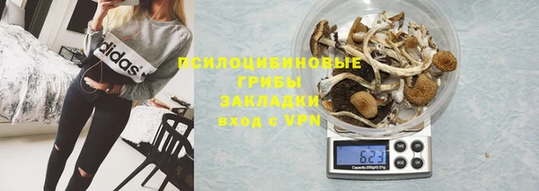 молекула духа Краснослободск