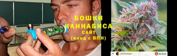 молекула духа Краснослободск