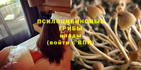 прущий лед Козловка
