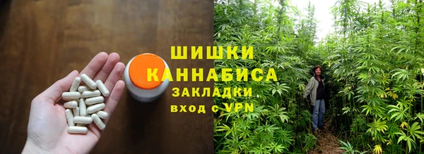 молекула духа Краснослободск